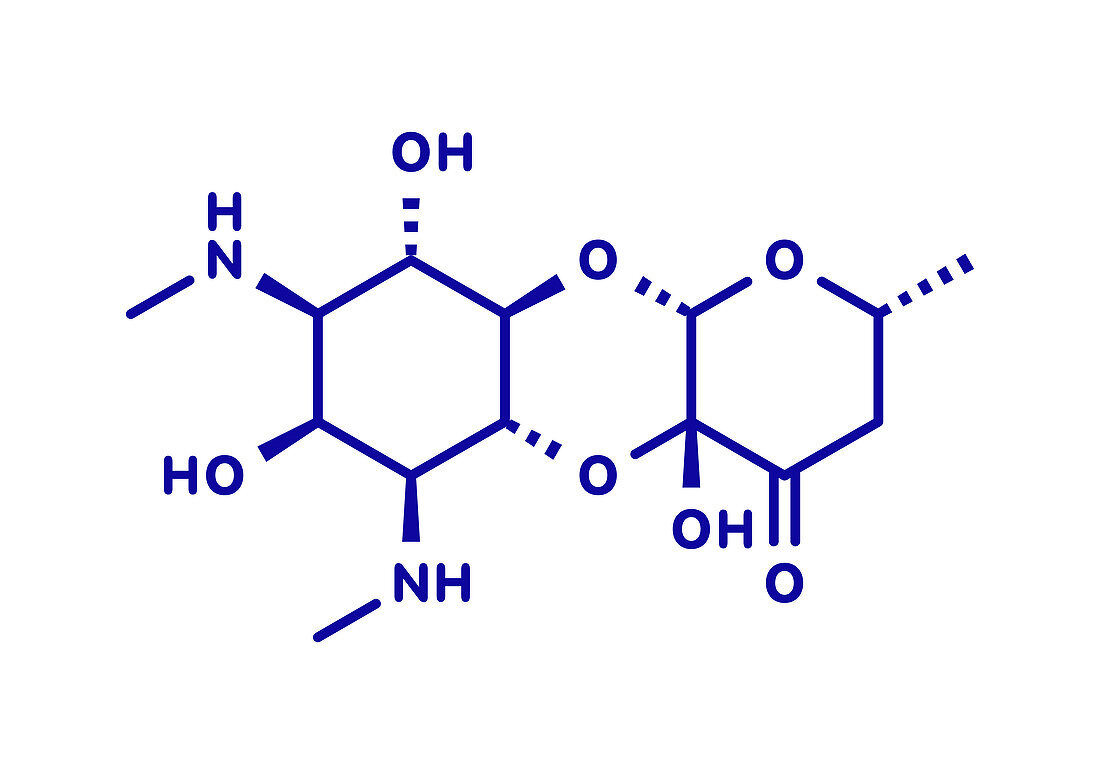 Spectinomycin gonorrhea drug molecule, illustration