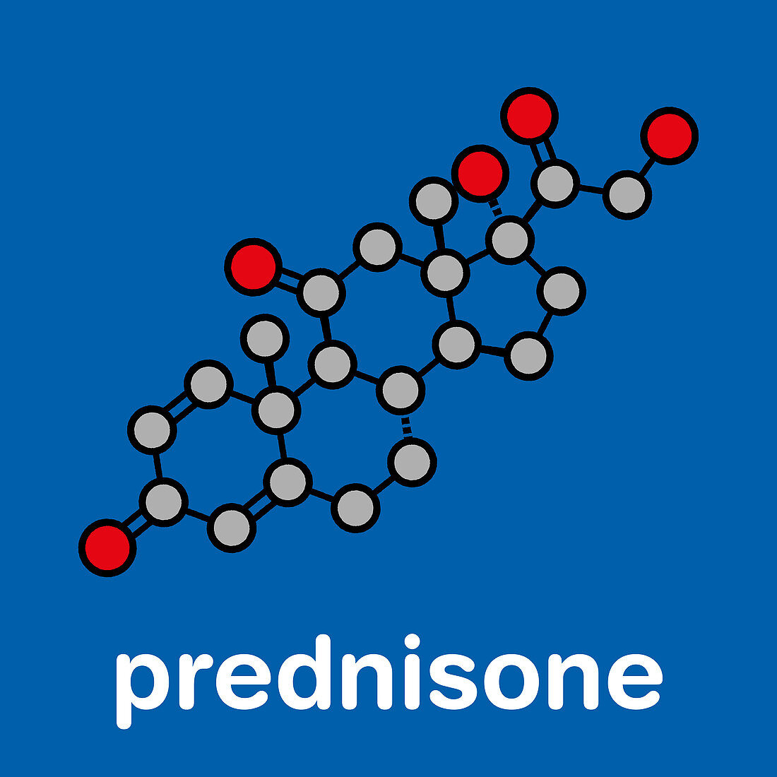 Prednisone corticosteroid drug molecule, illustration