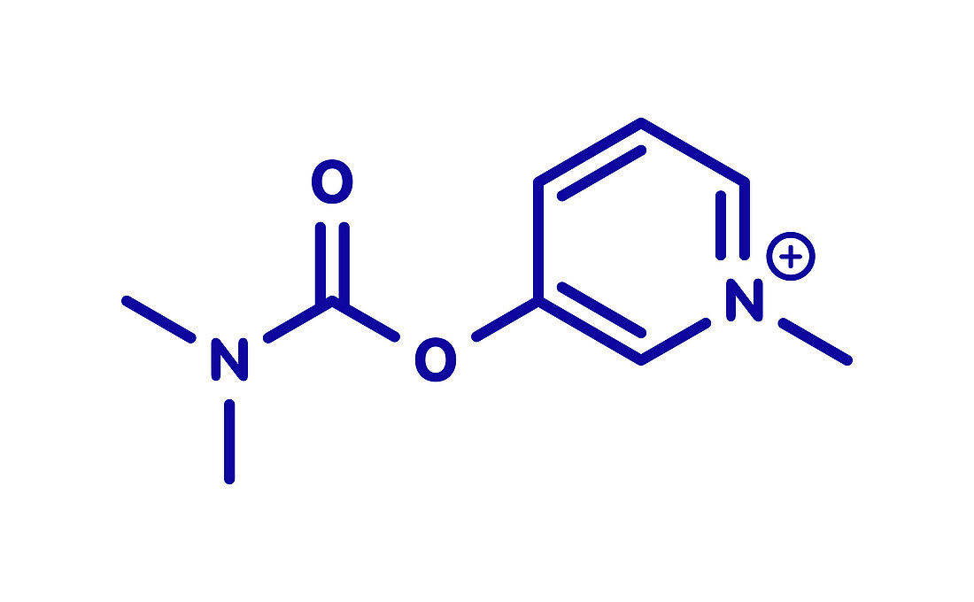 Pyridostigmine cholinesterase drug molecule, illustration