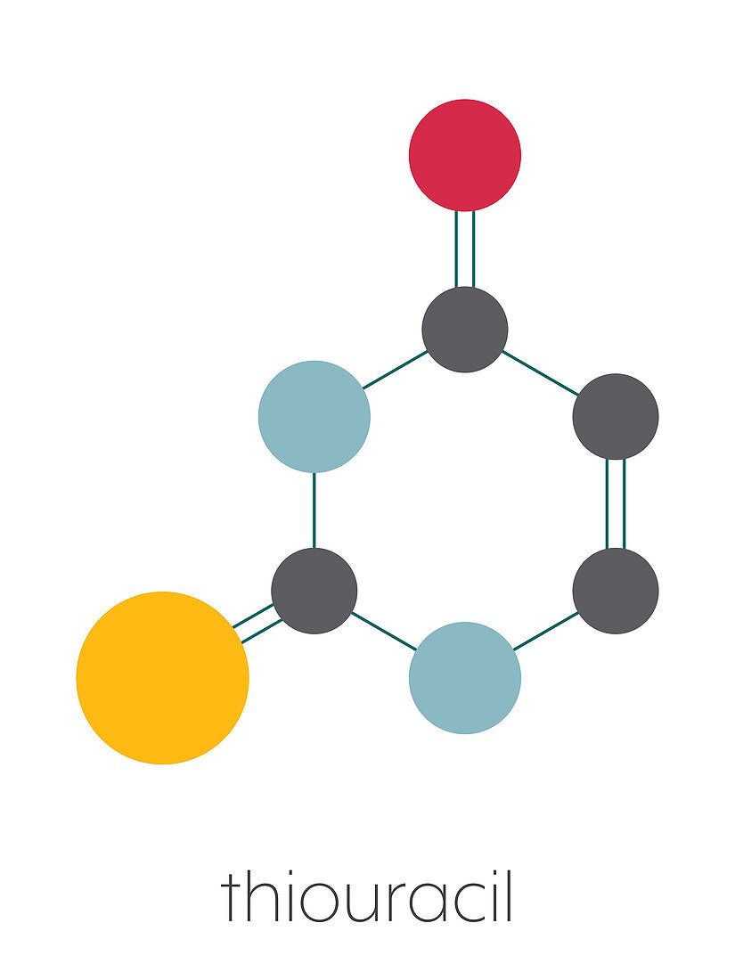 Thiouracil drug molecule, illustration