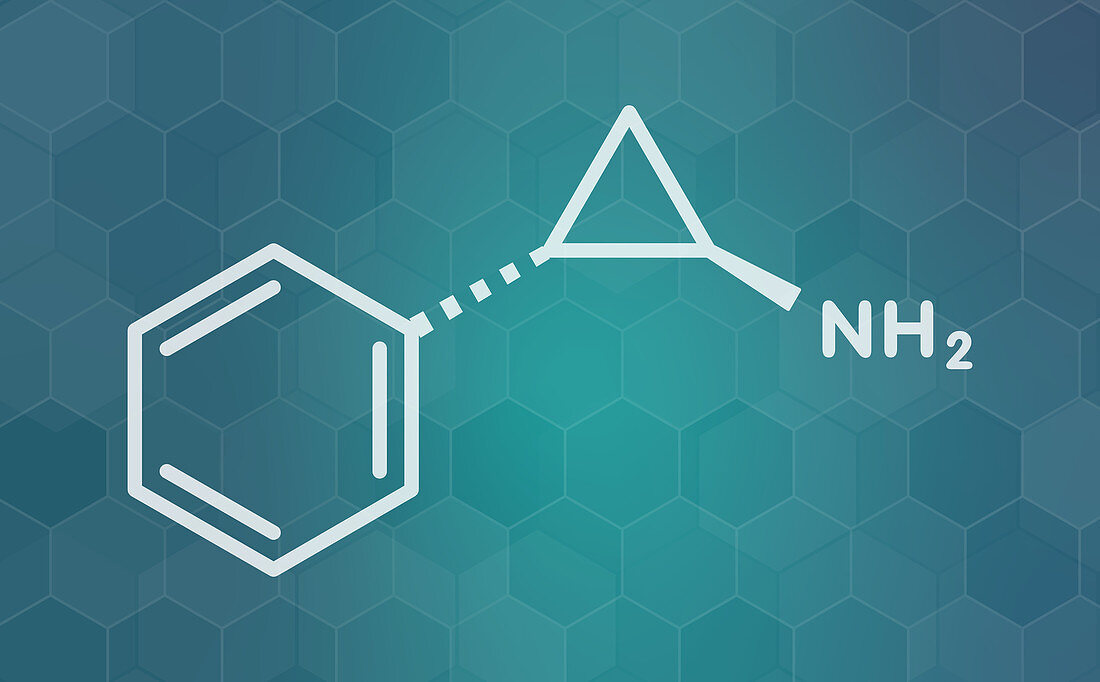 Tranylcypromine antidepressant drug molecule, illustration