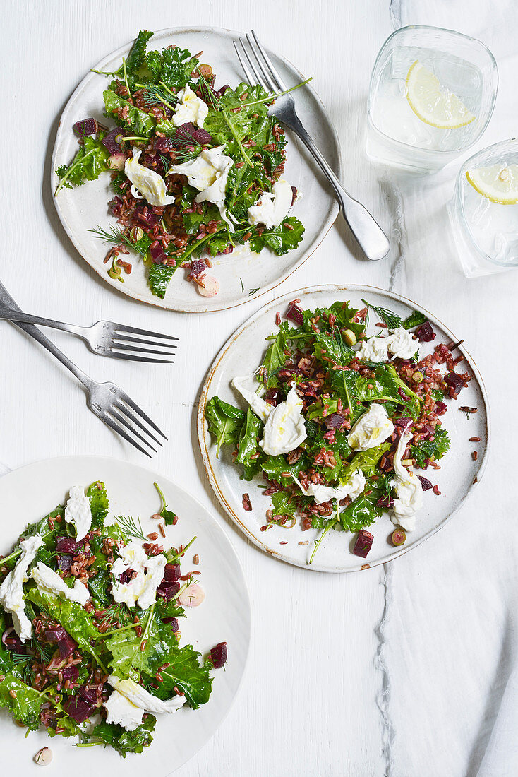 Red rice and kale salad with burrata and beets