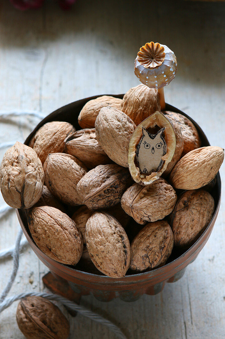 Walnuts in old copper jelly mould, one nut shell decorated with paper owl