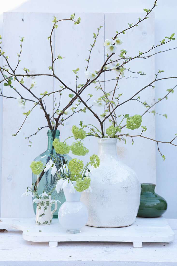 Delicate spring arrangement of budding branches and snowdrops