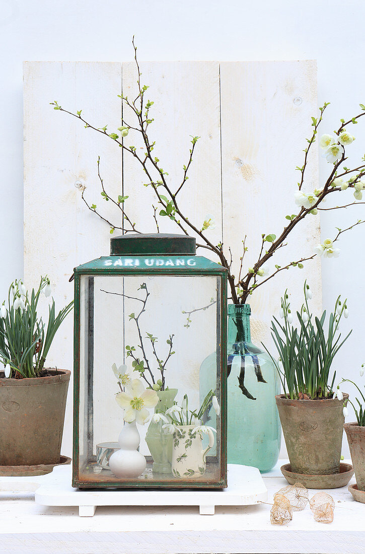 Spring arrangement of snowdrops, hellebores and flowering branches