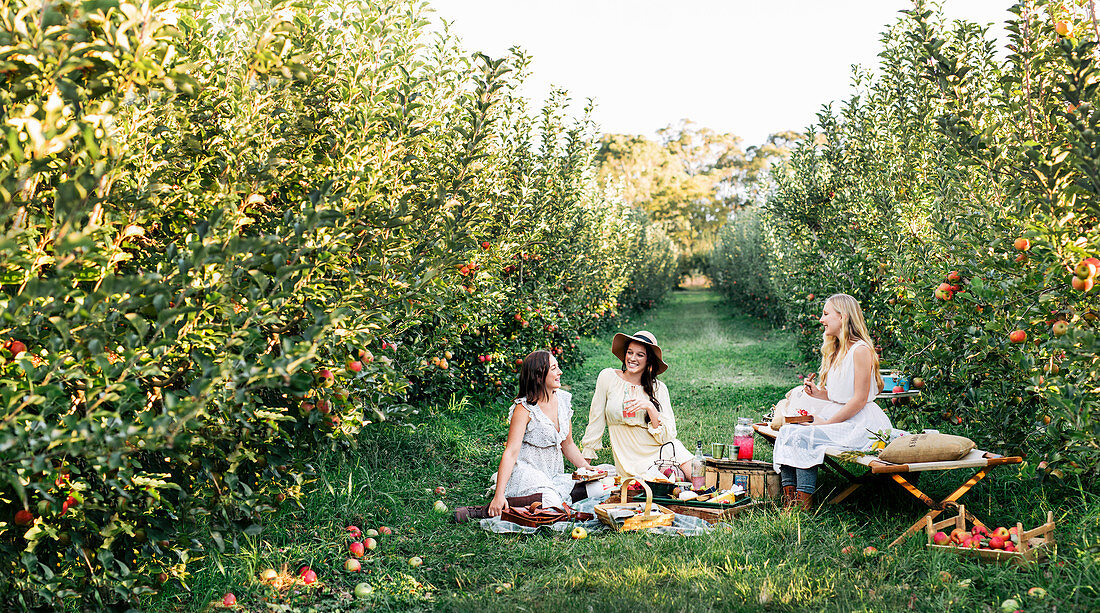 Drei Frauen beim Picknick im Obstgarten