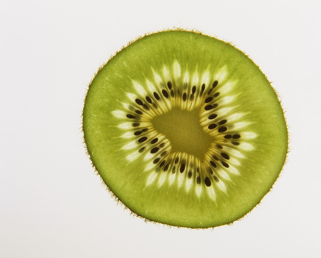 A Kiwi Slice