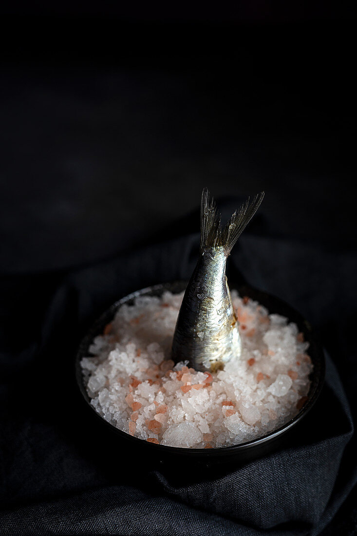 Sardinenschwanz in Salzhaufen auf Teller