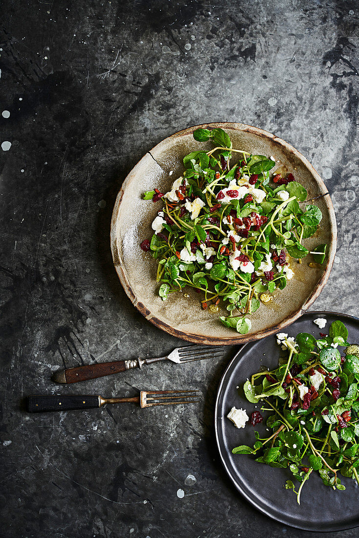 Brunnenkressesalat mit Ziegenkäse und Cranberries