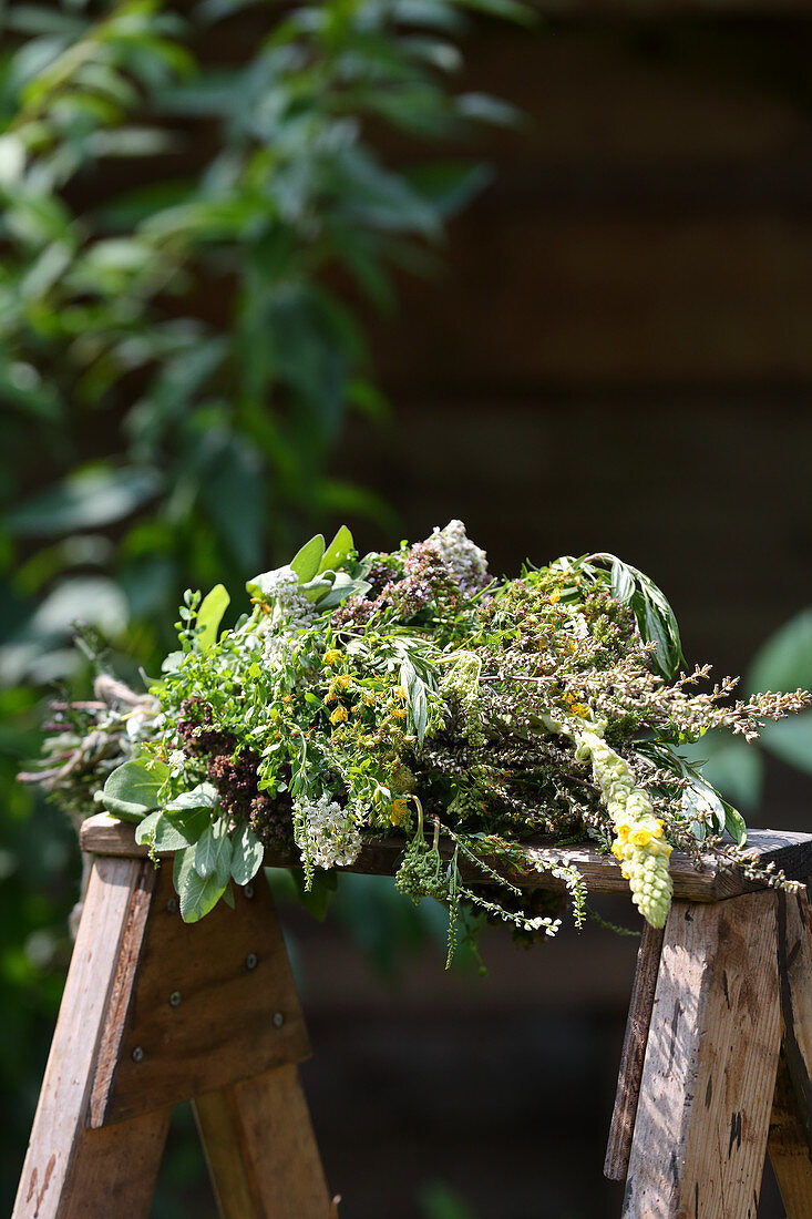 A bunch of summer medicinal herbs – mullein, yarrow, rosemary, meadowsweet, mugwort, bedstraw and St. John's wort