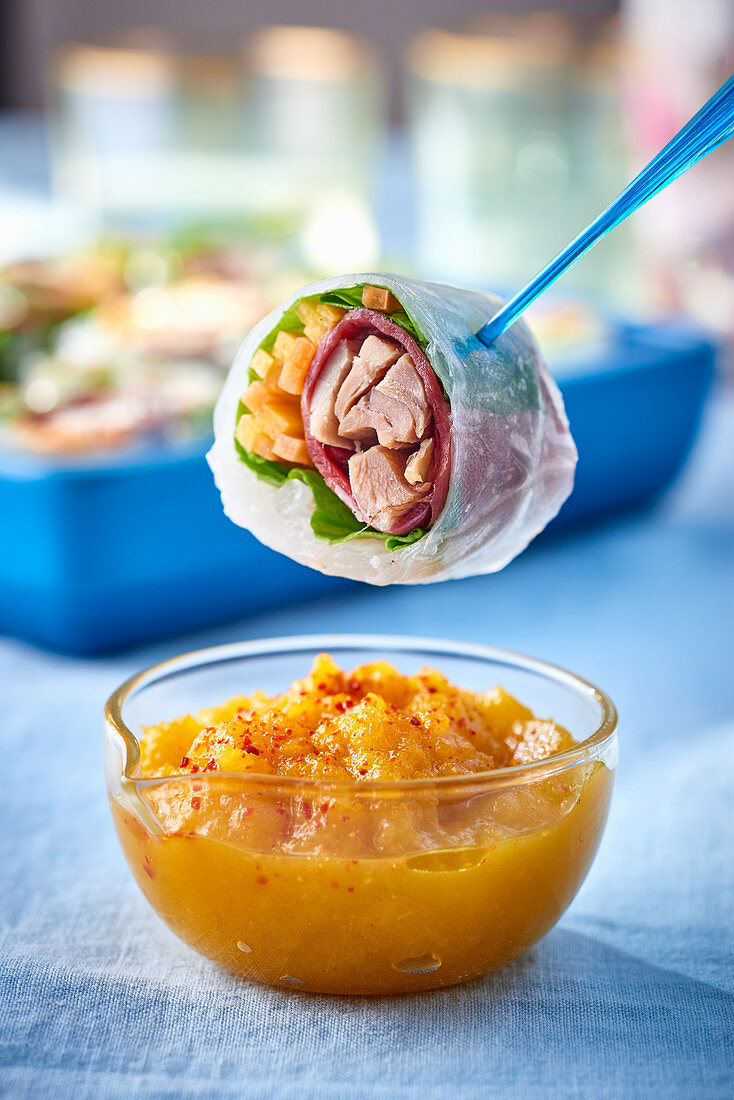 Frühlingsrolle mit Hähnchenfüllung und Dip