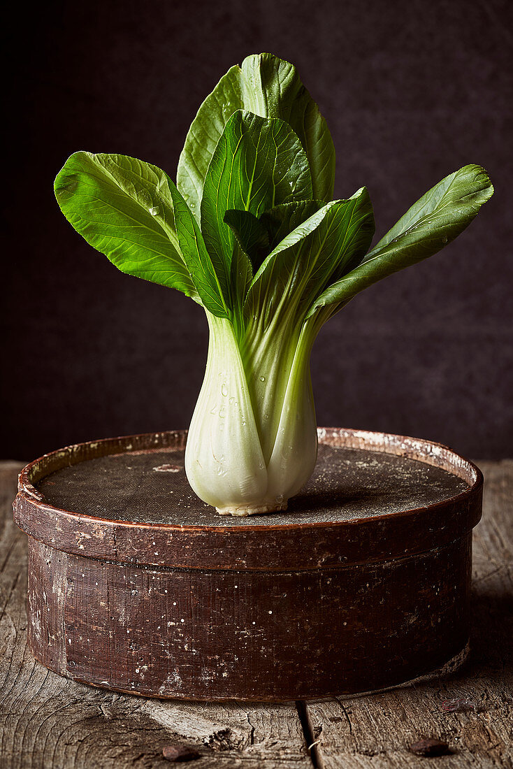 Bok choy