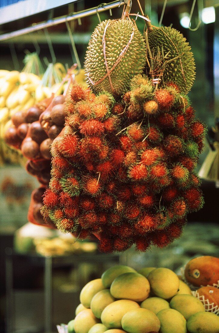 Exotic fruit (lychees, durian, mangos etc.) at a market