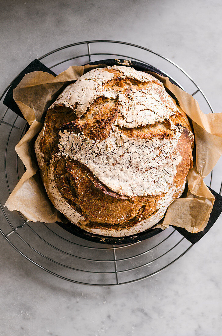 Ein Sauerteigbrot mit Vollkornweizenmehl auf Abkühlgitter