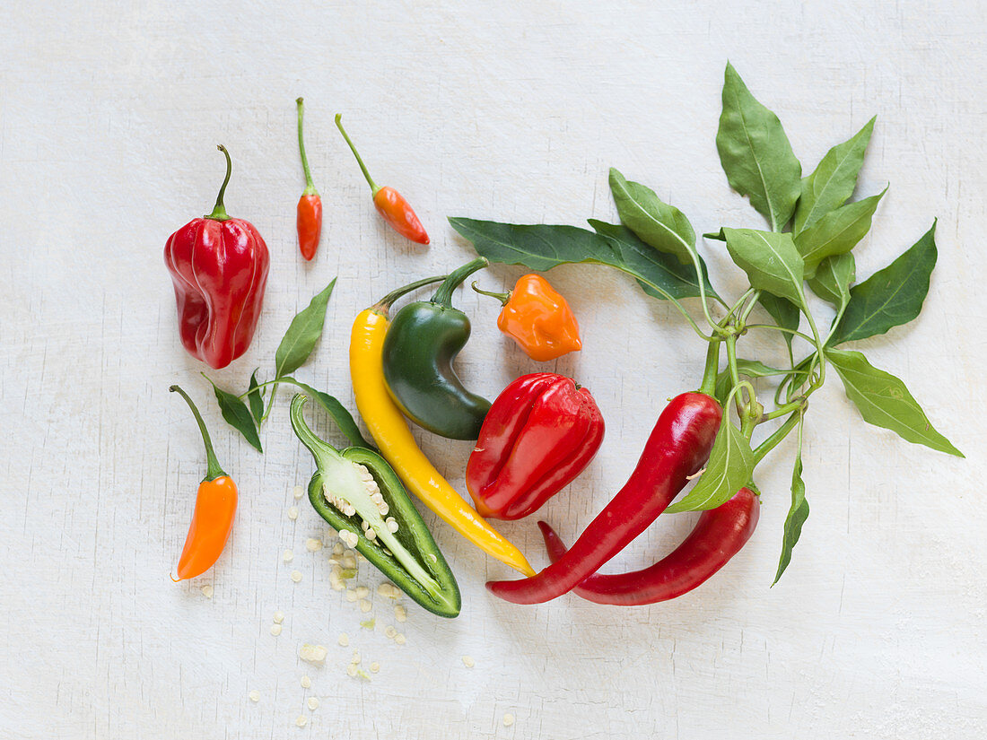 Various types of peppers and chillies