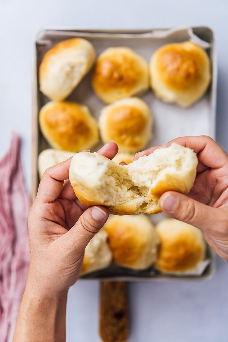 Woman holding newly baked soft yeast dinner rolls