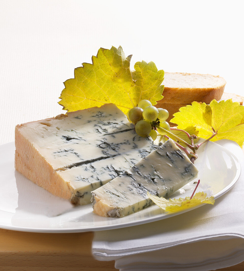 Noble mushroom cheese with vine branches on a plate