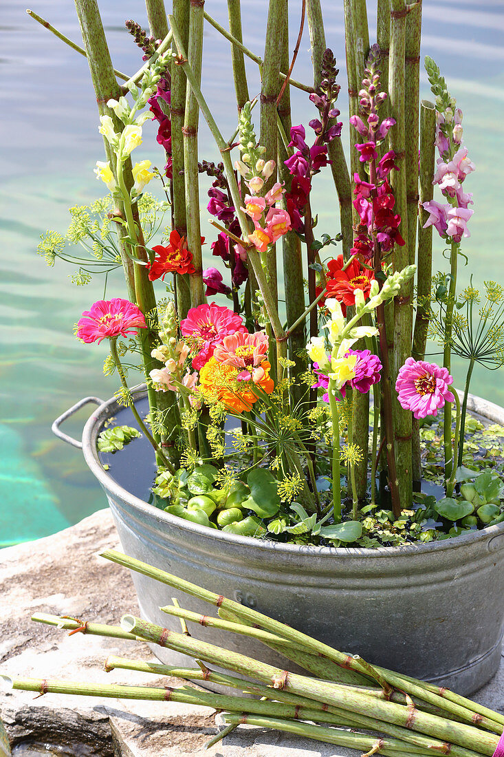 Blumendeko mit Knöterich, Löwenmäulchen und Zinnien in einer Blechwanne