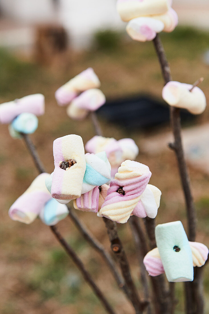 Marshmallows on skewers