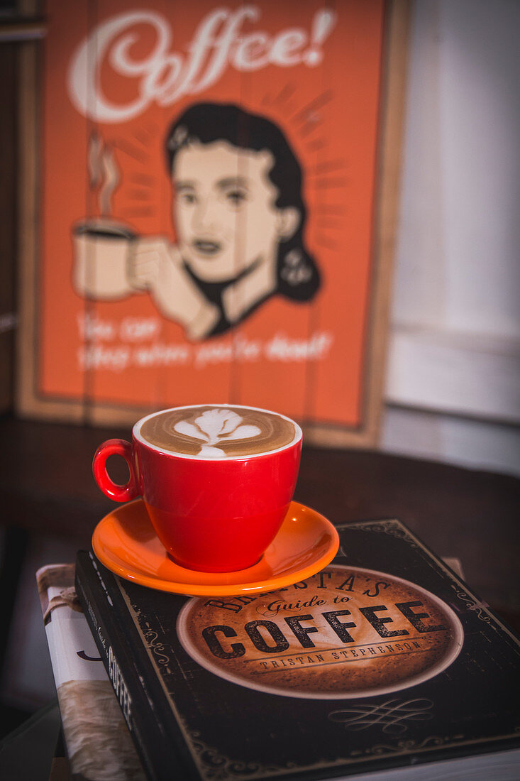 Cappuccino on a coffee book
