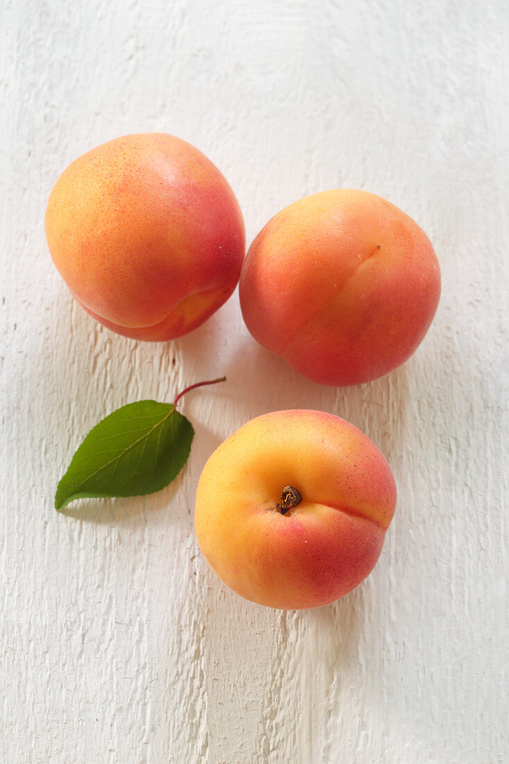 Three apricots with a leaf