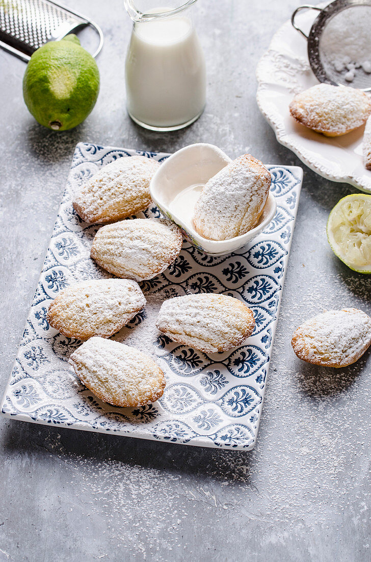 Lime madeleines with powdered sugar