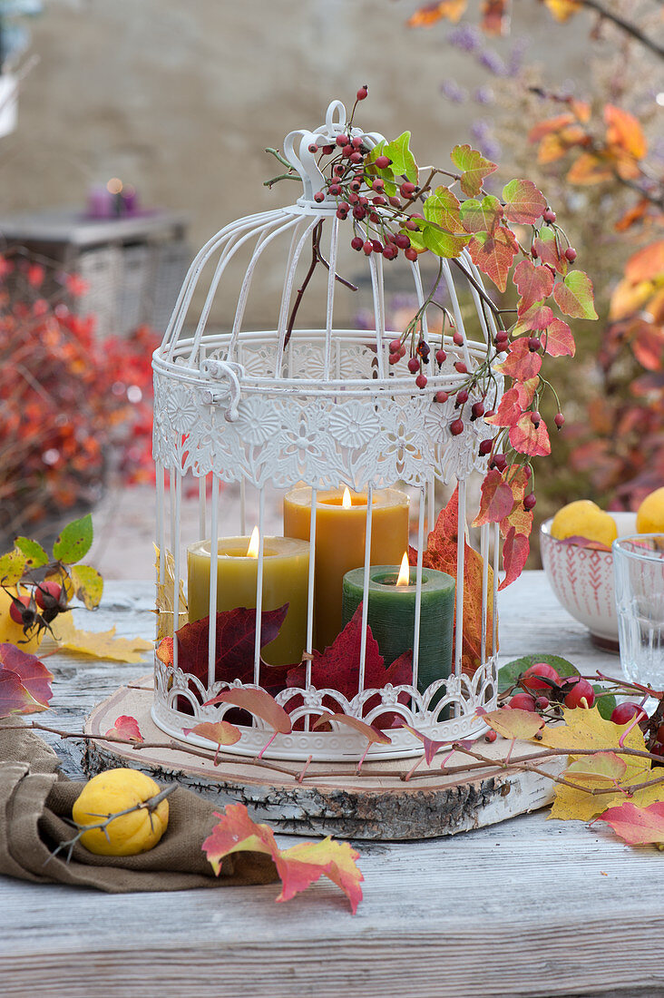 Candles in a decorative cage on a wooden disc as table decoration