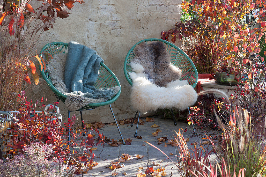 Acapulco armchair with fur and blanket on autumn terrace between trees with autumn colors and grasses