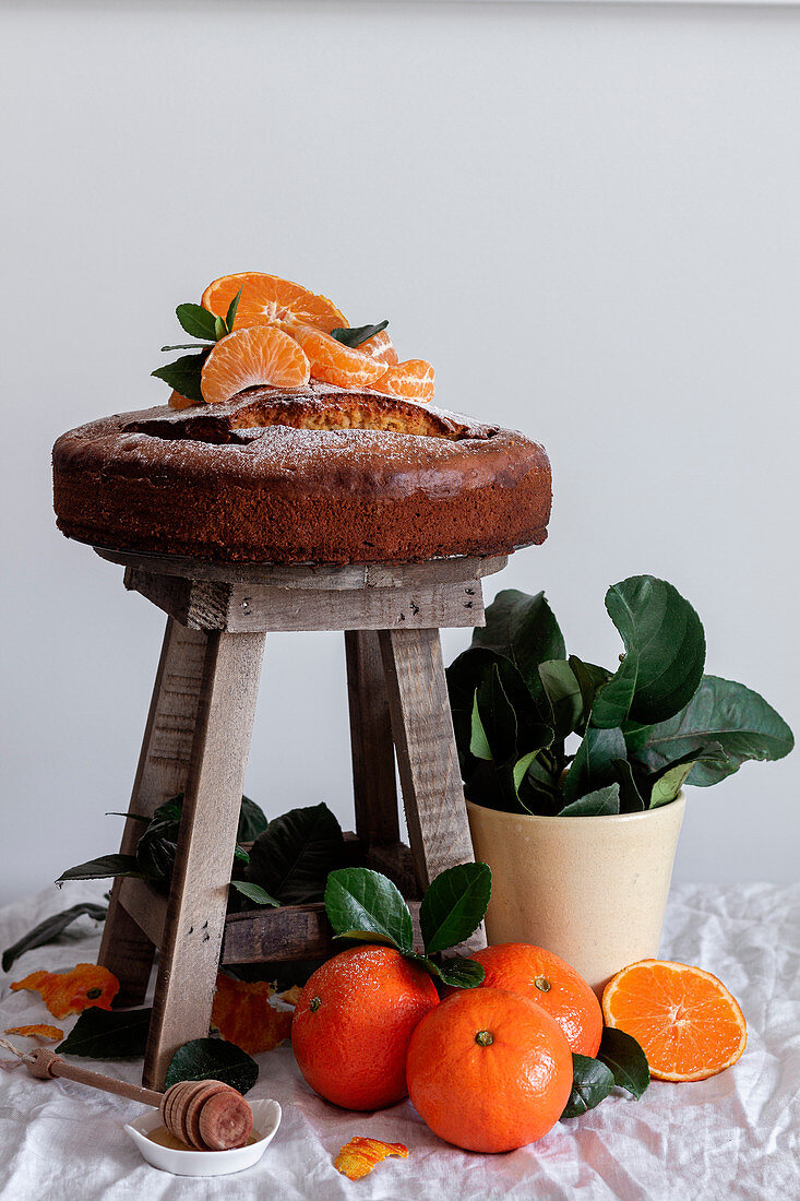 Still life of fresh appetizing cut and whole tangerine fresh tasty cake on small wooden stool and green plant in pot