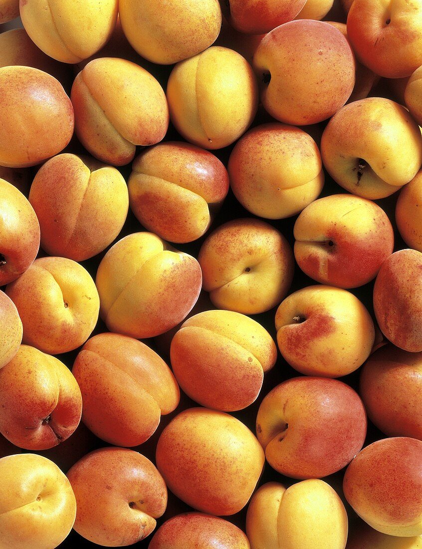 Several Fresh Apricots; Overhead