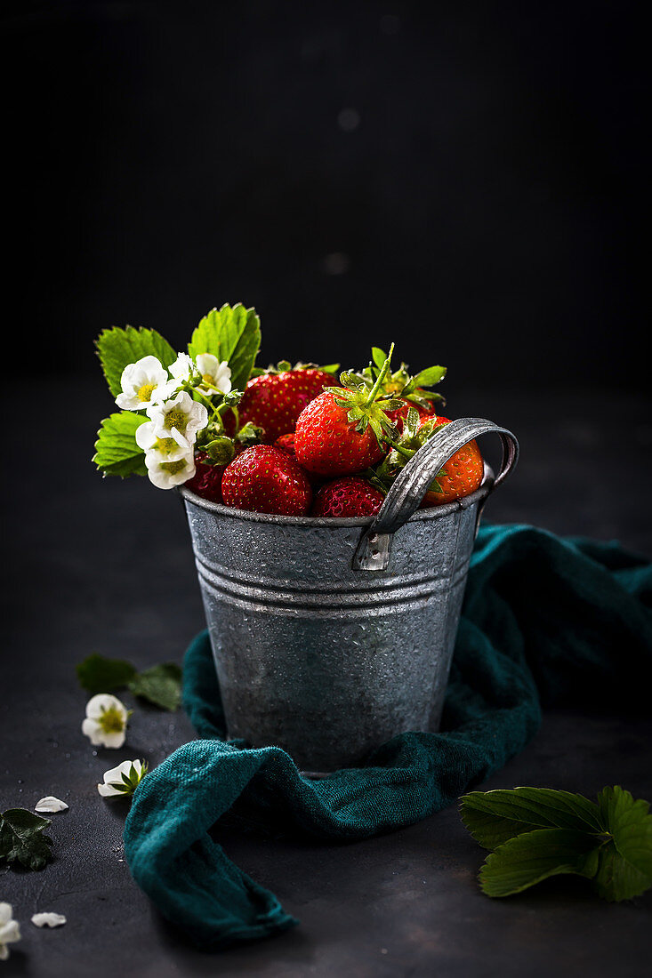 Frische Erdbeeren mit Erdbeerblüten in Metalleimer