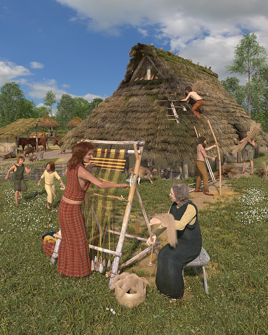 Iron age house and activities, illustration