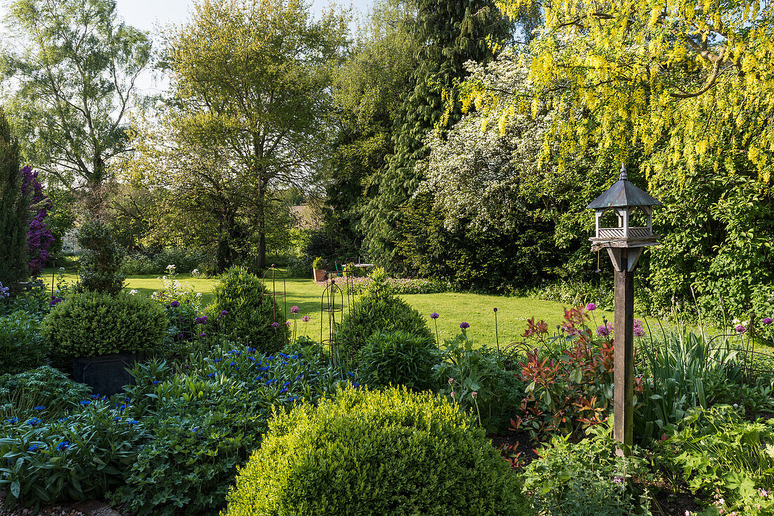 Bird feeder in sunlit garden