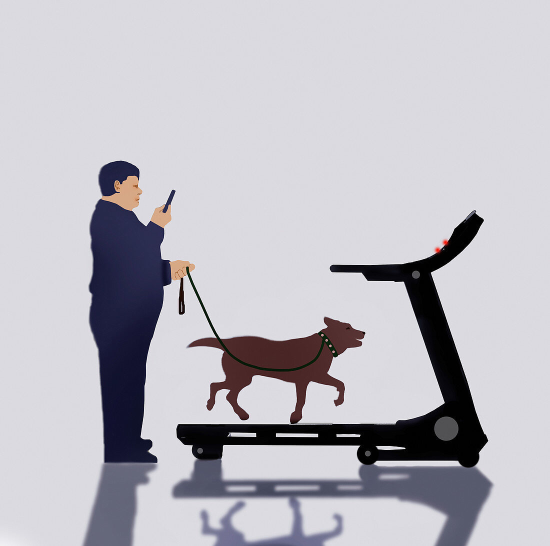 Using running machine to walk the dog, illustration