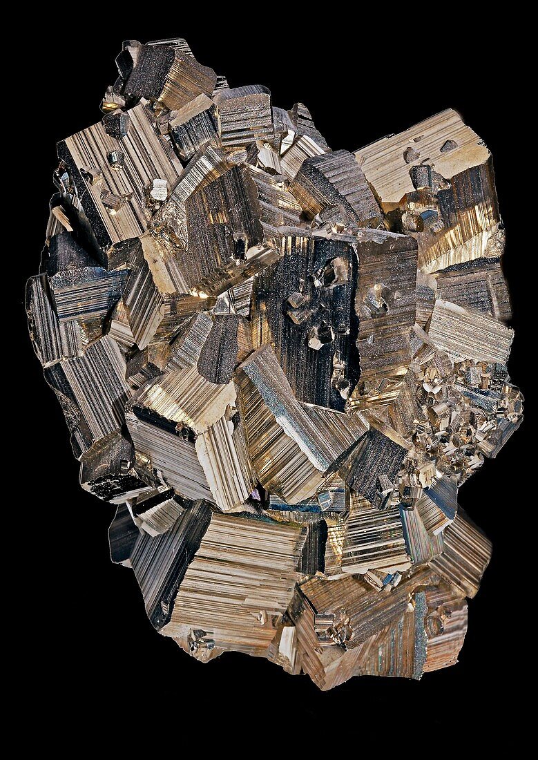 Cluster of pyrite cubes
