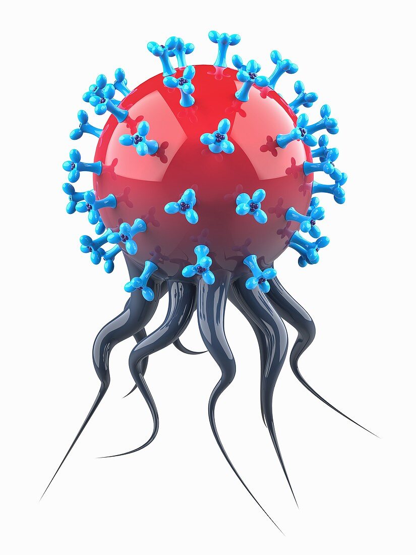 Coronavirus attack, conceptual illustration