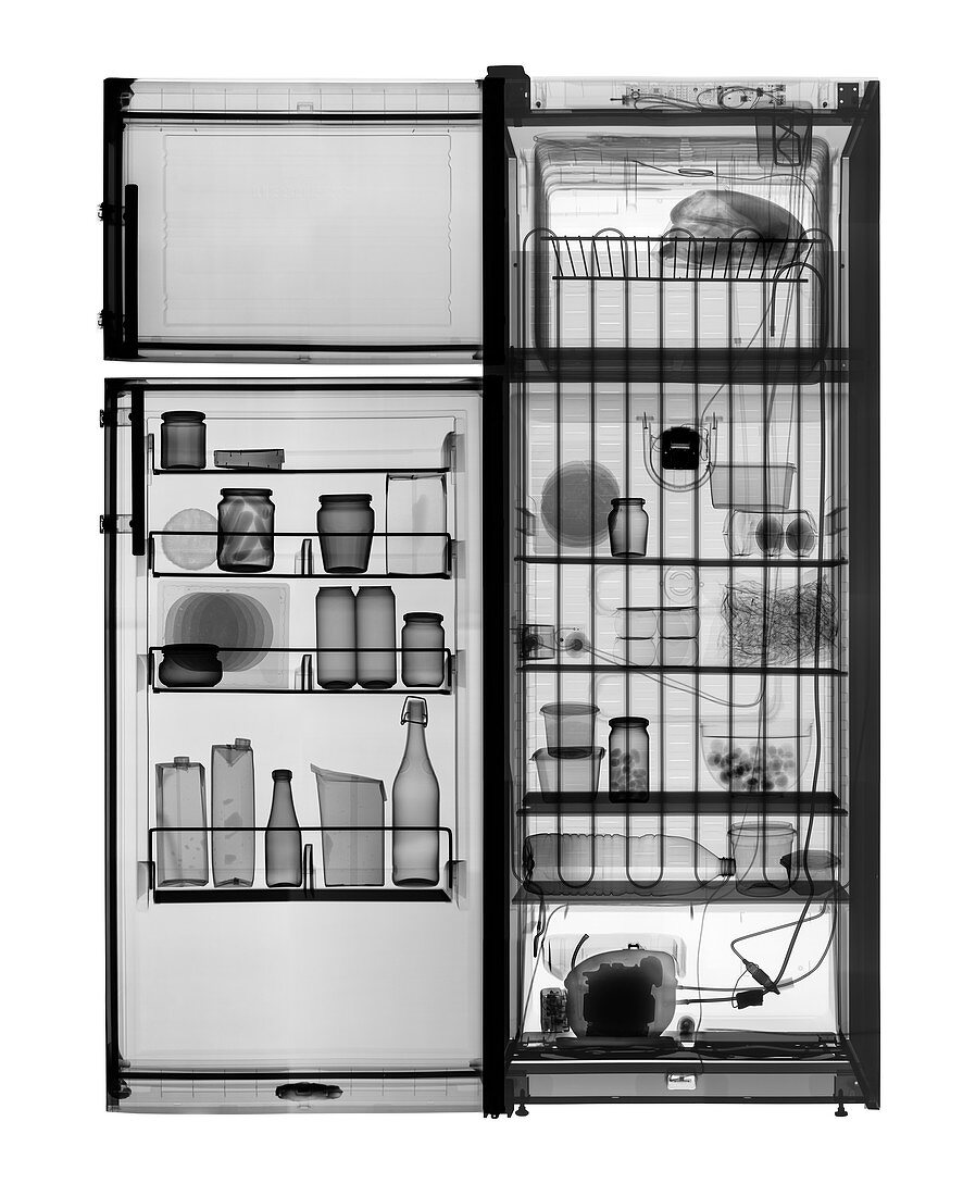 Fridge freezer and its contents, X-ray