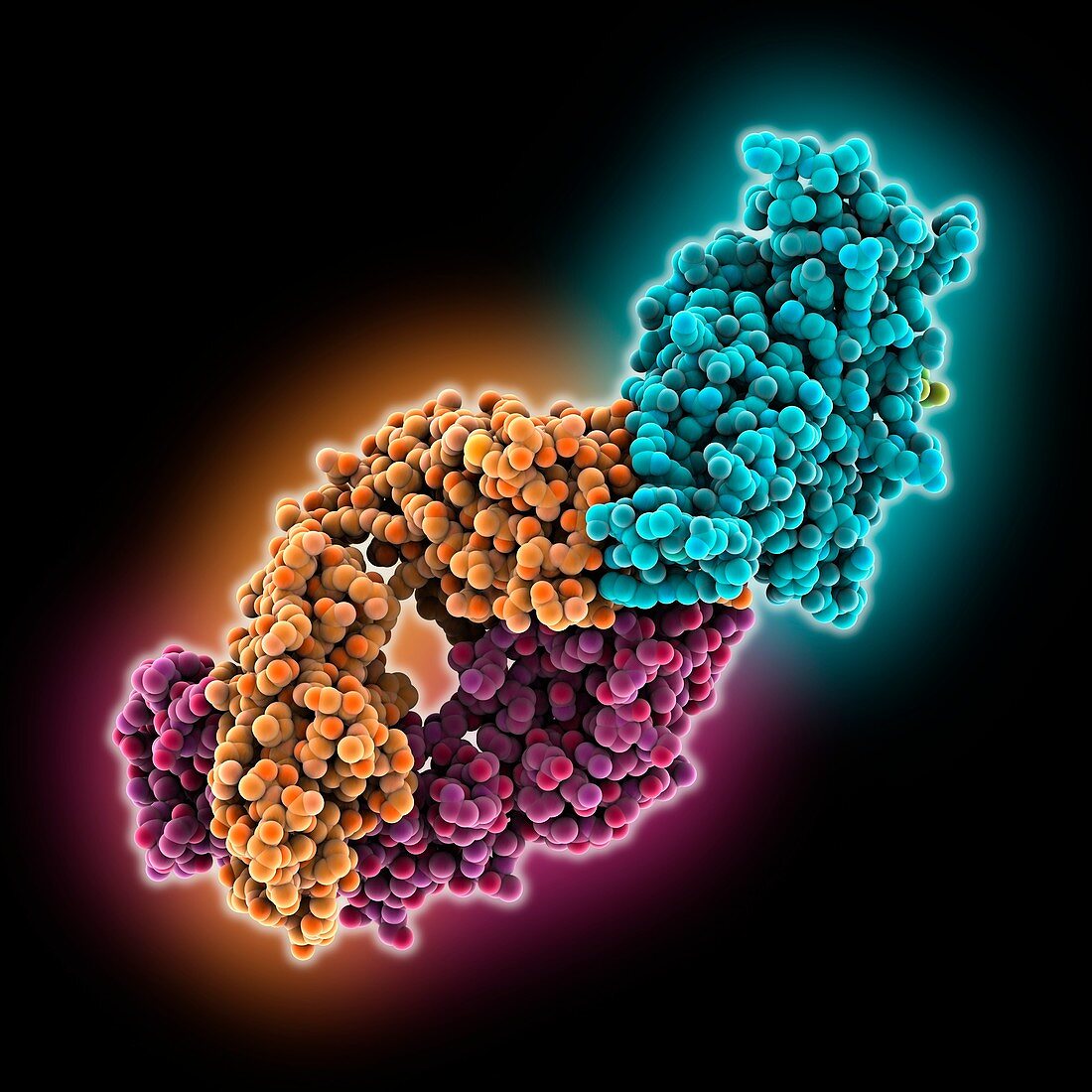 SARS-CoV-2 spike protein complex, illustration