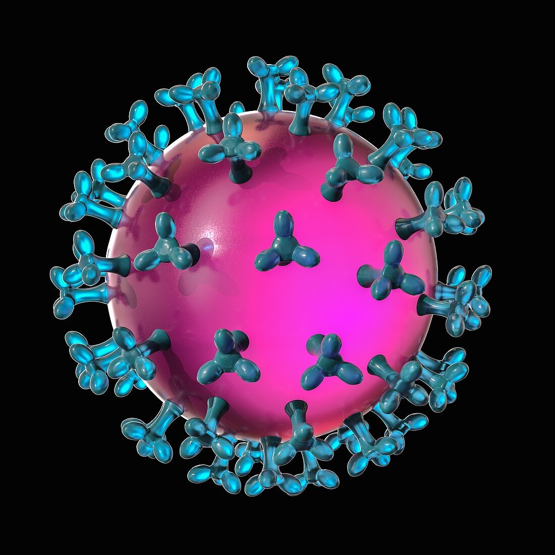 Coronavirus capsid, illustration