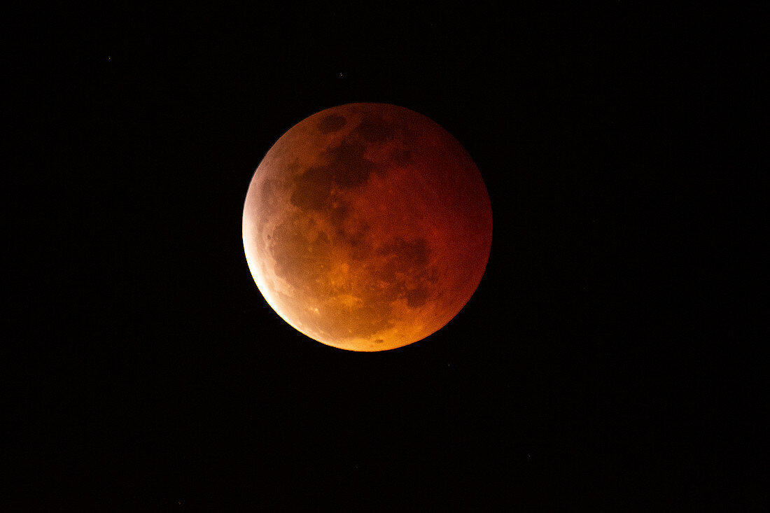 Super blood wolf moon, Honolulu, Oahu, Hawaii, USA