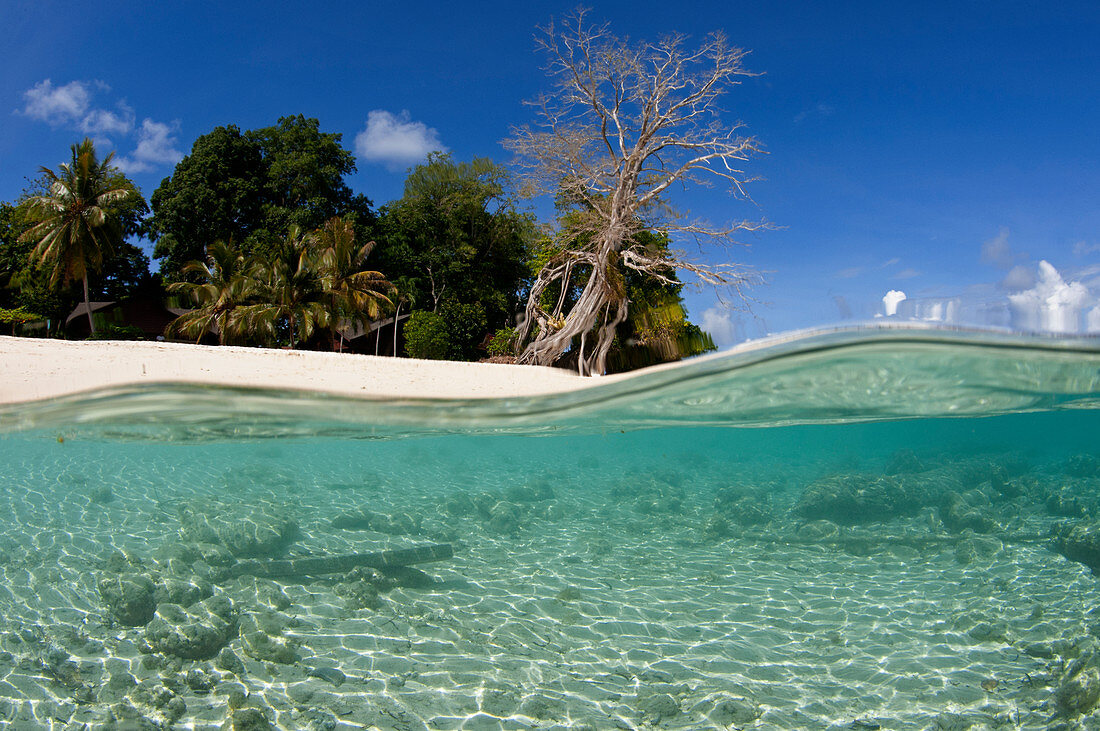 Shallow area of a beach in the Sipadan Island, Malaysia