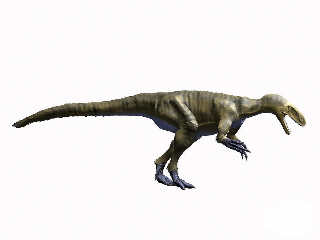 Dryptosaurus aquilunguis dinosaur, illustration