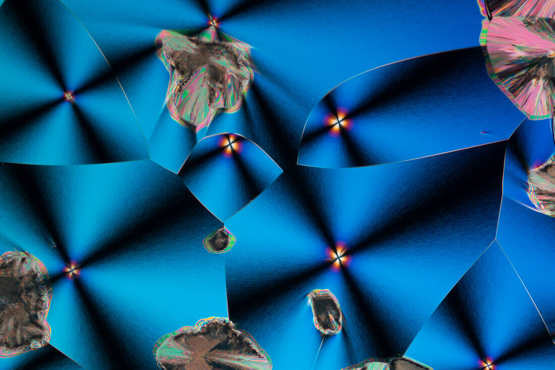 Nicotinamide and Urea Mixture, Polarized Light Microscopy