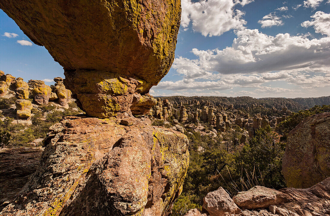 Pink Rhyolite Formations