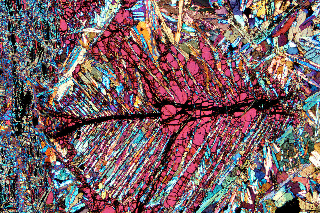 Spinifex Komatiite, light micrograph