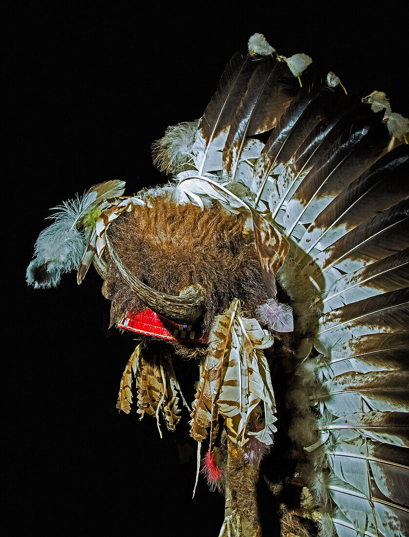 Eagle Feather Headdress, Lakota Tribe
