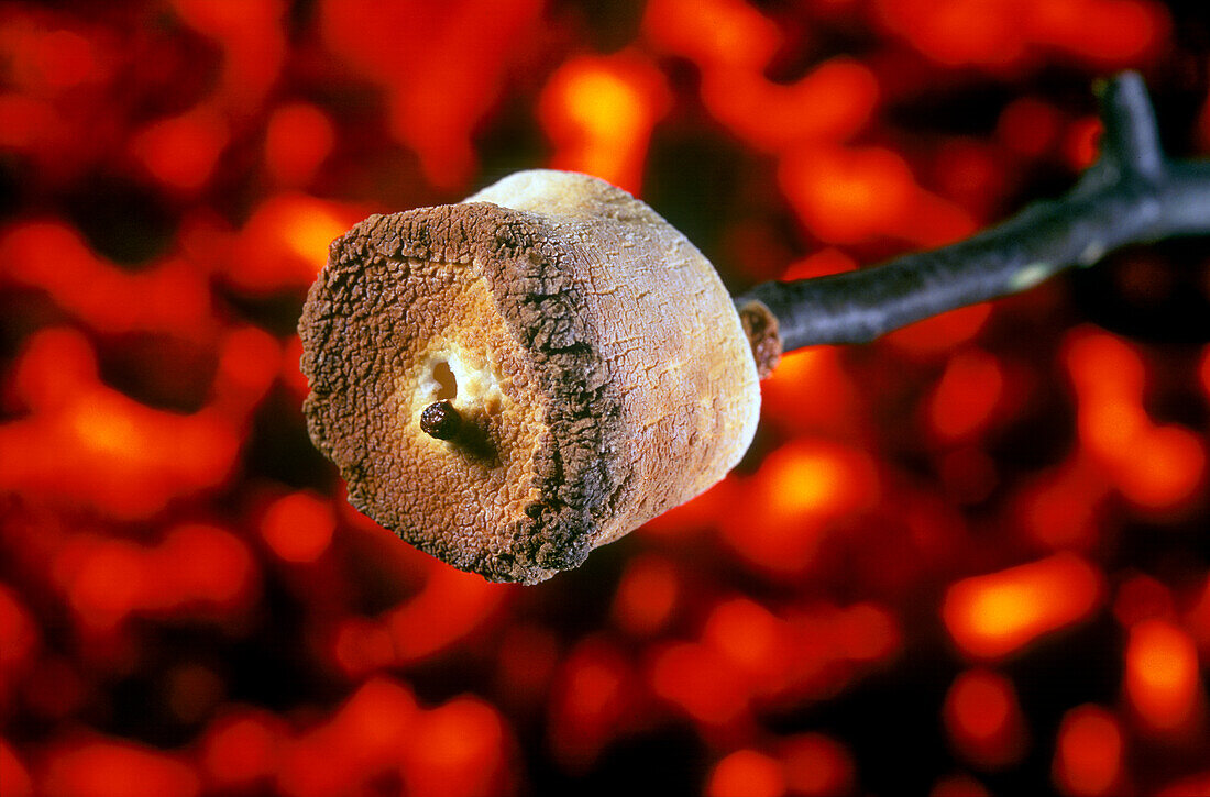 Roasting Marshmallow on a Stick