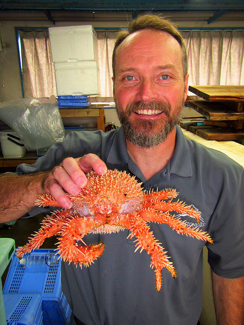 Deep Sea Spiny Crab (Paralomis hystrix)