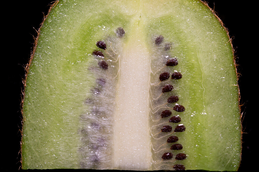Kiwifruit in White Light