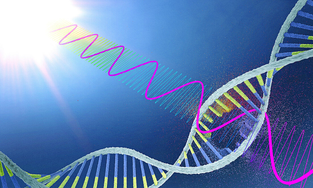 UV radiation damaging DNA, illustration